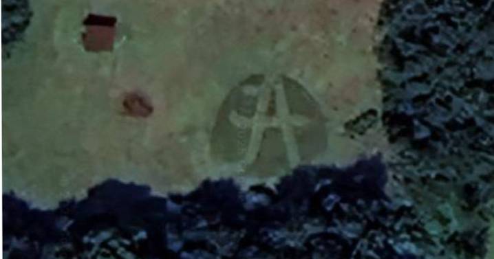 University of Alabama ‘A’ yard art shows team spirit in Elberta