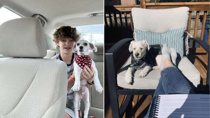 Missouri Family’s Trip To The Groomer Ends With An Unexpected Twist