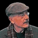 Como pollos sin cabeza