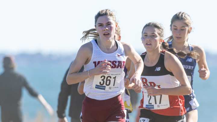 Cross country: Vassar's Schoenegge fifth, Brewers women take fifth
