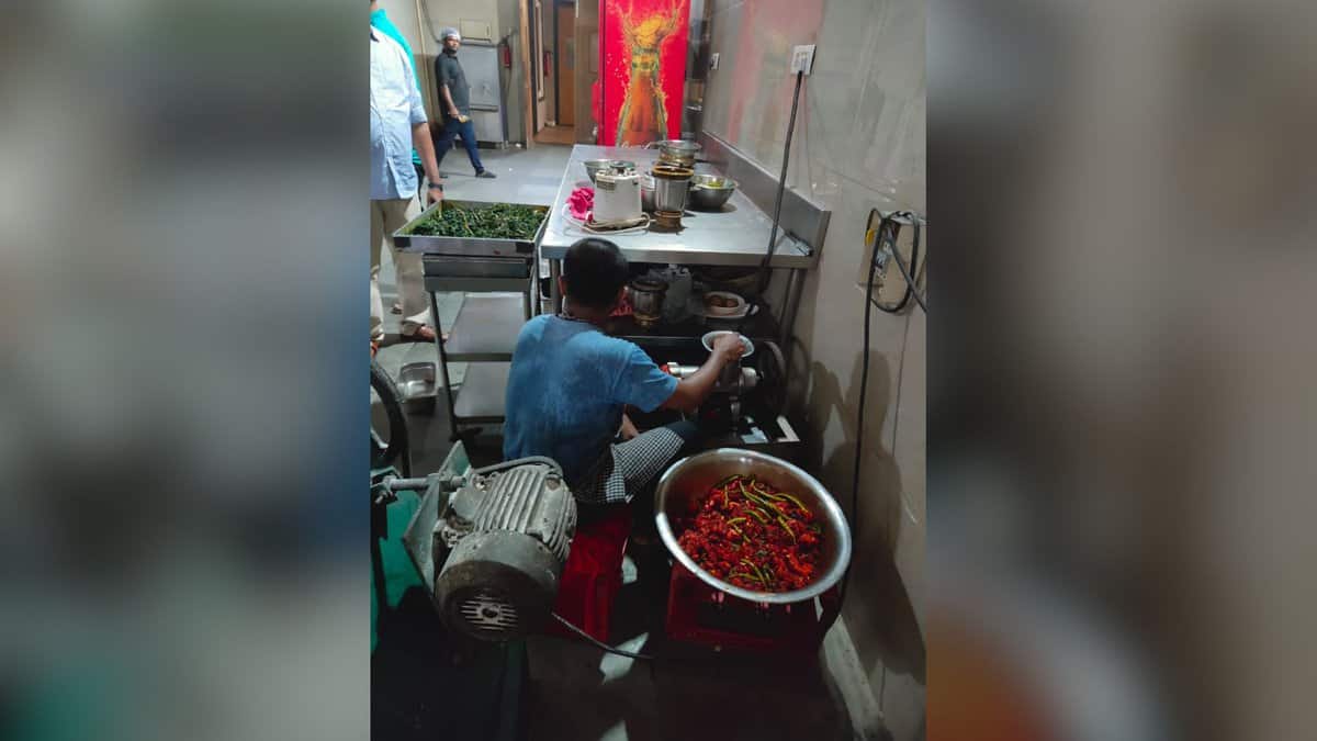 Unhygienic kitchens, rodent infestations found at highway dhabas in Telangana