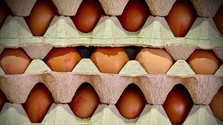 Cuesta un huevo, por Paco Alonso