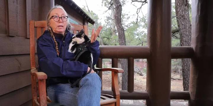 Cat reunited with owner after surviving 6 weeks alone at Grand Canyon