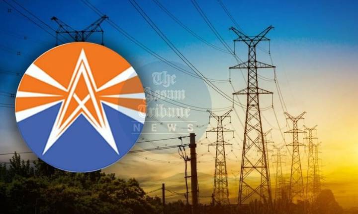 Assam homes supply 31 Mn solar units to APDCL under PM Surya Ghar Scheme