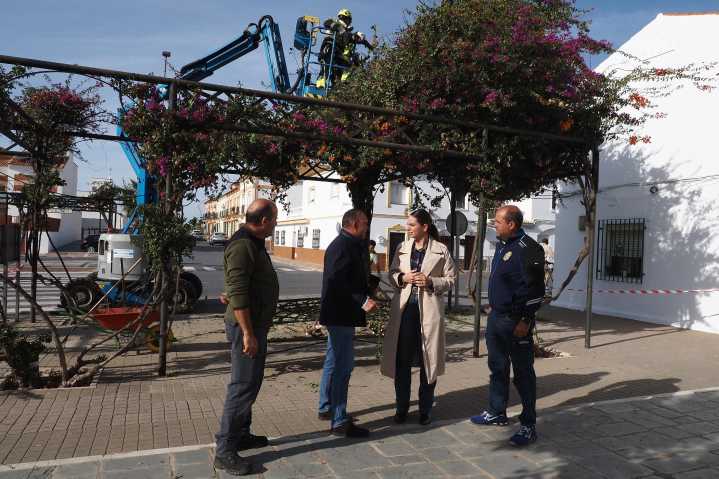 Palos de la Frontera refuerza la limpieza y poda en la avenida de Mazagón y el Parque de Mayores