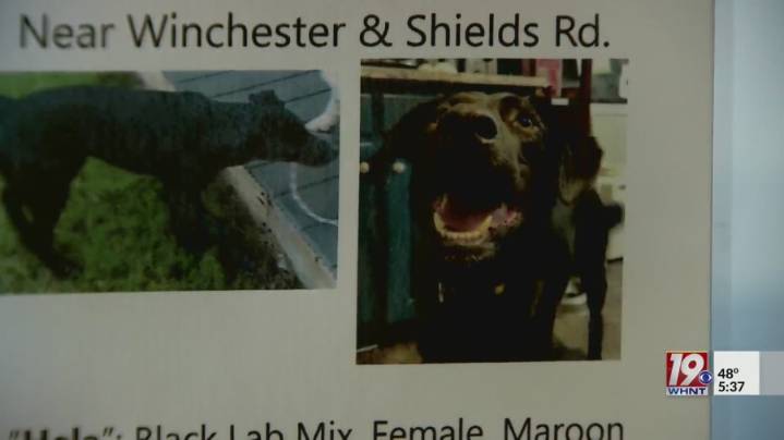 Scammer targets Alabama owners of missing dog