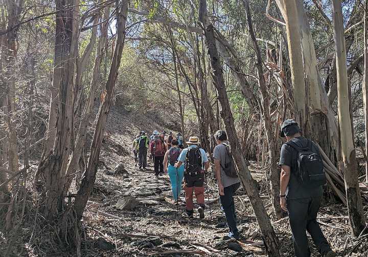Diez kilómetros de naturaleza escondida en Las Palmas de Gran Canaria