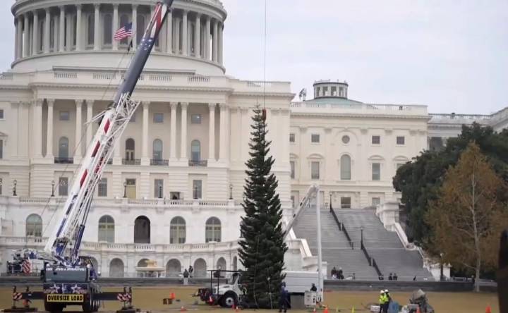 ¡It´s time! Llega el árbol de Navidad al Capitolio de Estados Unidos