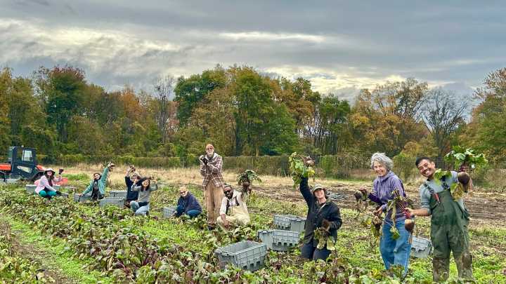 Local farm provides fresh produce for families in need at Thanksgiving