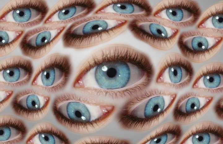 Today I learned that a scallop can have over 100 eyes