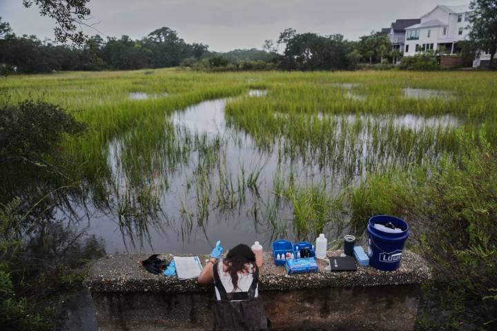 How friends in South Carolina are restoring a wetland and bringing their neighborhood together