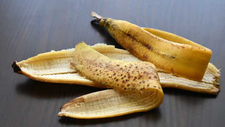 Always Keep Your Banana Peels, Here Are The Plants That Love Them