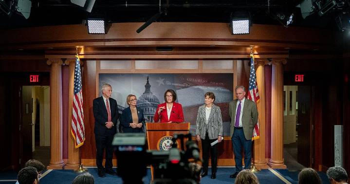 These are the Senate Democrats who voted to reopen the government