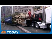 See the 2025 Rockefeller Center Christmas Tree Arrive in NYC