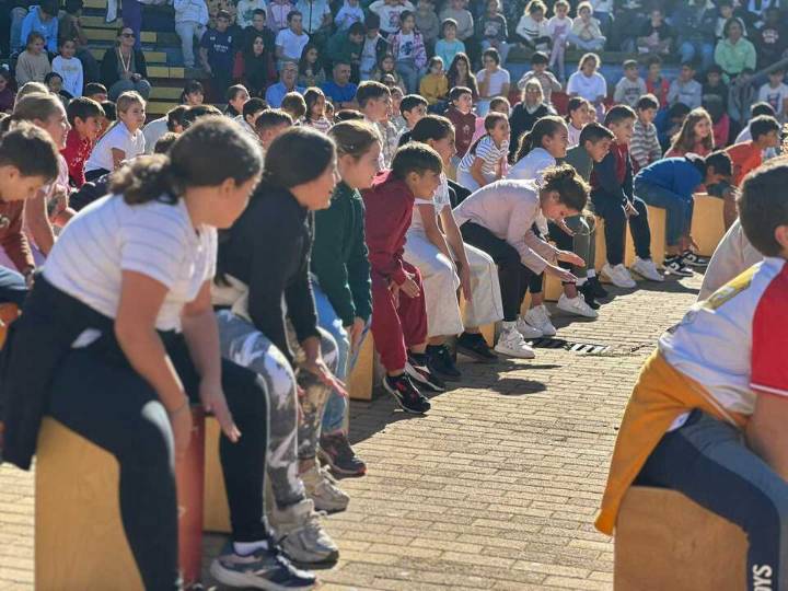 Isla celebra el Día Internacional del Flamenco acercándolo a más de 300 escolares