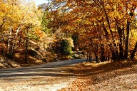 Now is the time to ‘peep’ some autumn magic in the San Bernardino Mountains