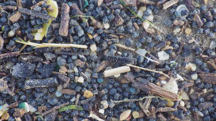 Vast clean up after ‘environmental catastrophe’ on Camber Sands