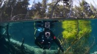 Escapada de buceo por Argentina: los mejores destinos para descubrir el fondo marino