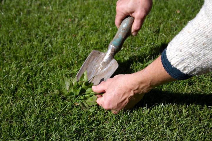 Referencia de cálculo. Cuánto cobran los caseros en noviembre