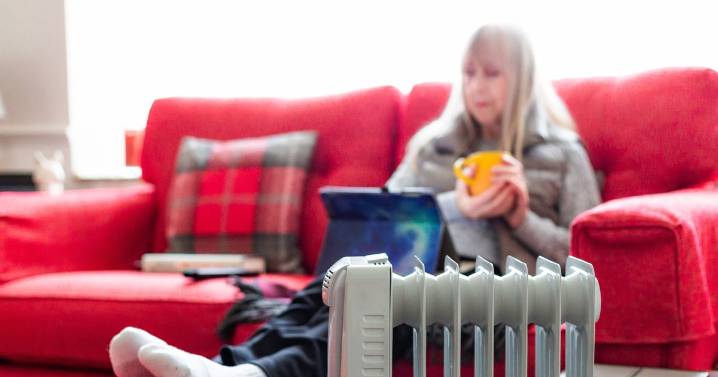 Households issued urgent electric heater advice as temperatures plummet