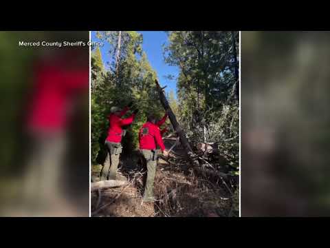 Missing hunter found alive after 20 days lost in California wilderness