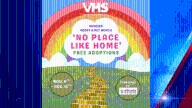 VHS reports 228 adoptions during free adoption week