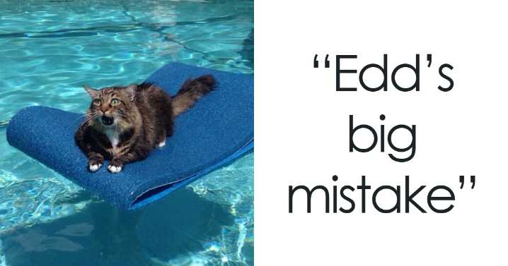 We’ve Gathered Pics Of Animals Getting Themselves Stuck: Here Are The 49 Funniest Ones (New Pics)