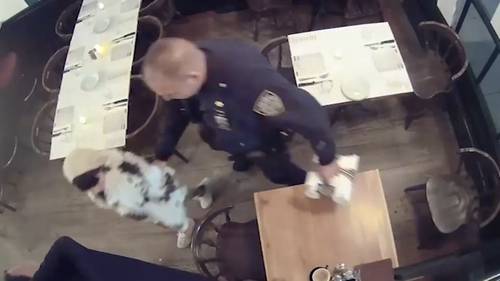 Pei-Yun Chung: Dine-and-dash diva accused of skipping out on bills at high