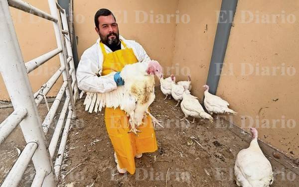 Todo listo para la cena de Navidad