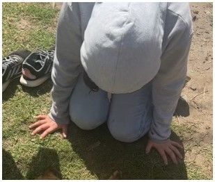 “Después se hace el hijo de Dios”: denuncian en Mar del Plata que un pastor evangélico mató un perro al que acusaba de romper bolsas de basura