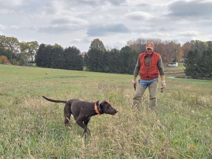 Butler family touts the benefits of field training their dogs
