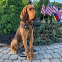 Three-Hour Search For Missing Upper Saddle River Teen Triggers Huge Police Response