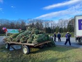 Trees for Troops initiative returning to Capital Region