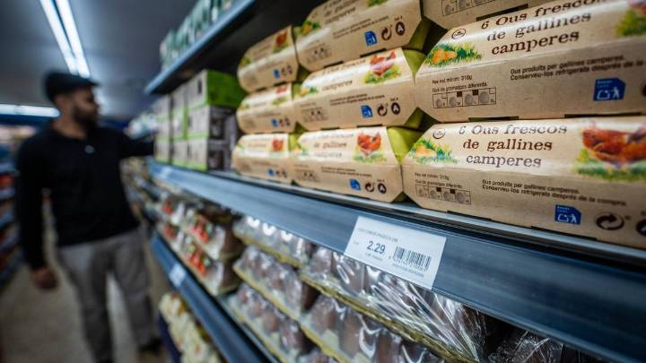 La gripe aviar dispara el precio del huevo en España y agrava la incertidumbre del mercado