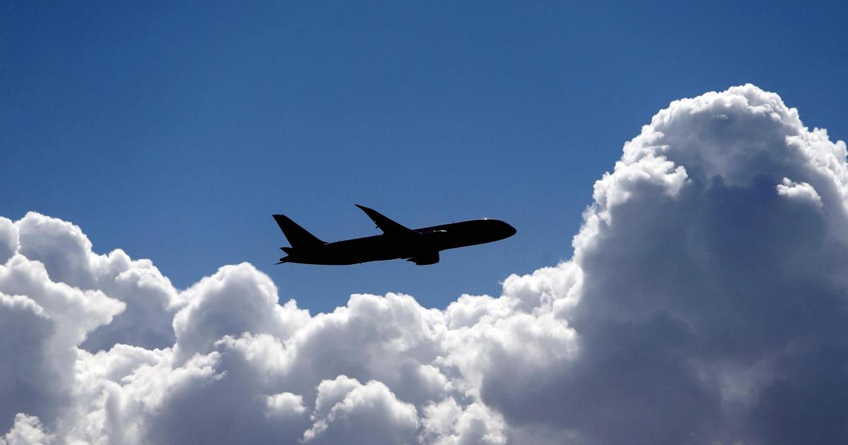 Passengers warned of travel disruption as software update issued for Airbus 320