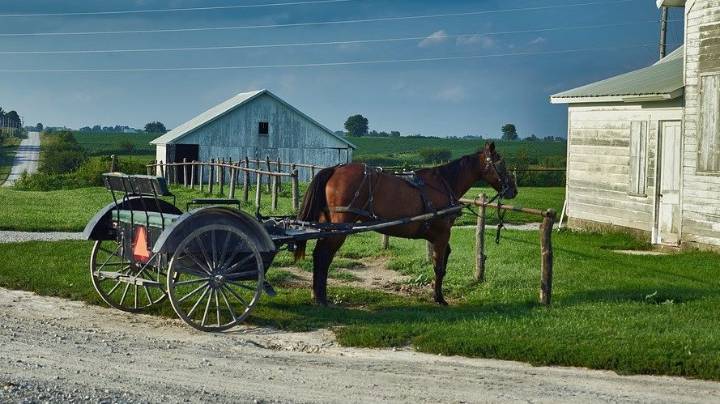 Horse Shit Cleared from City Streets and Moved Online