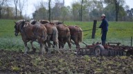 Dustin Byfuglien Retires from NHL to Work on Mennonite Farm