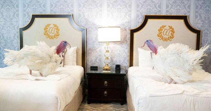 5 things to know for Nov. 26: Thanksgiving travel, Ukraine peace talks, FBI, Hong Kong fire, Baby formula recall