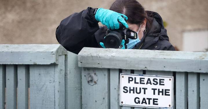 Woman rushed to hospital after being hit by car during 'serious assault'