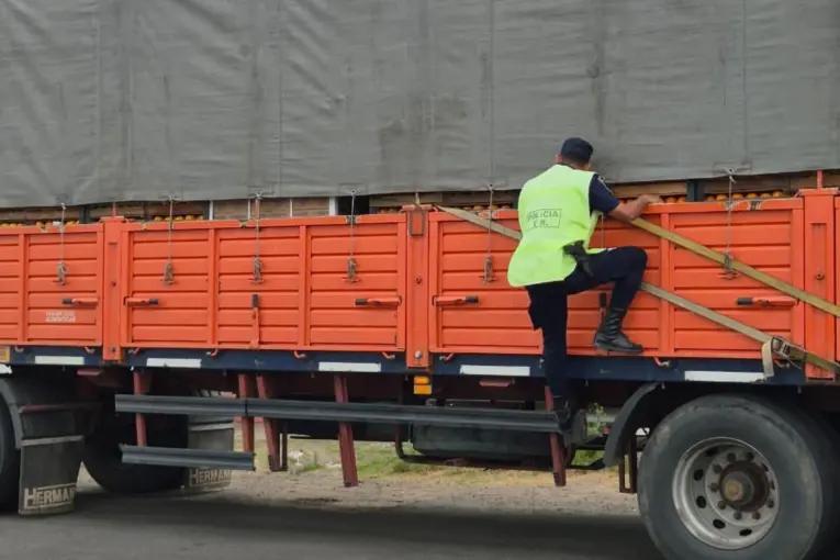 Camión que transportaba cítricos fue interceptado al evadir la barrera fitosanitaria en Concordia