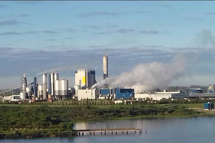 UPM confirma su intención de aumentar un 15% la producción en la planta Fray Bentos
