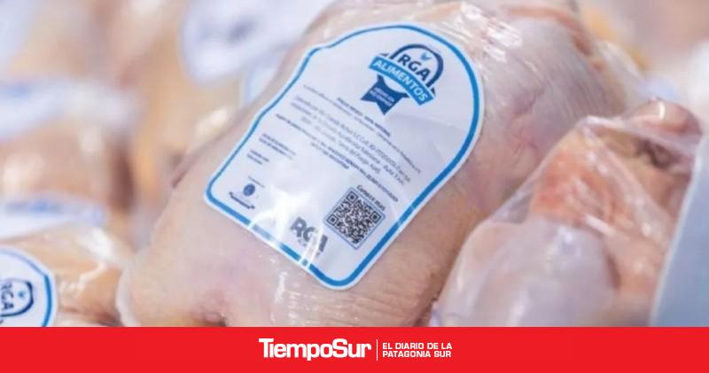 Tierra del Fuego Realizan primer envío de pollos de RGA Alimentos a la Antártida