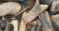 'Unusual' collection of animal bones found dumped near Arthur's Seat after a wildfire