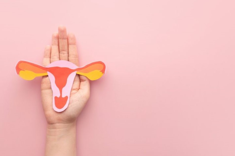 Desarrollan investigación en Venezuela para el cuidado de la microbiota vaginal