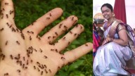 Sangareddy woman dies by suicide over fear of ants