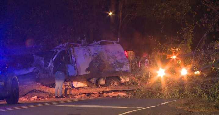 Van crash takes down tree in Raleigh :: WRAL.com
