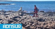 17:04 Sigue la búsqueda de Juana y Pedro: amplían los rastrillajes en Puerto Visser tras hallar objetos en la costa