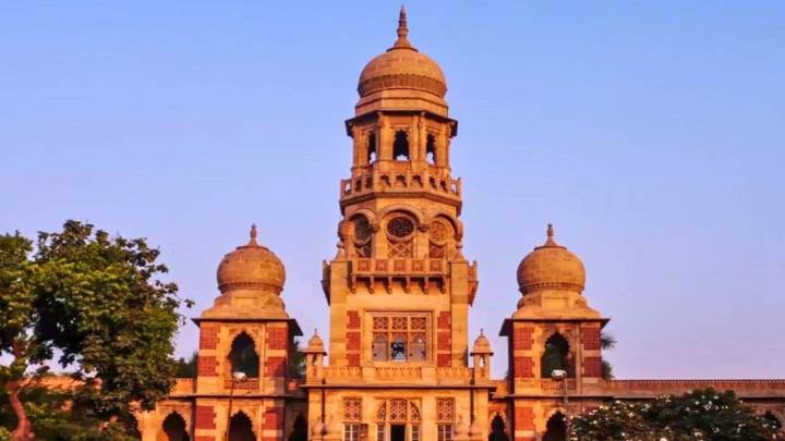 Vadodara: UGC panel nod for open online course on literature & cinema designed by MSU prof