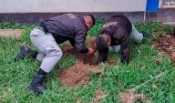 Hallan celulares, fármacos y presunta droga enterrados en penal Ancón 2 durante operativo