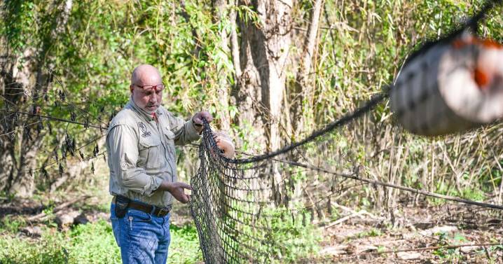 How Osprey Initiative fights Louisiana litter